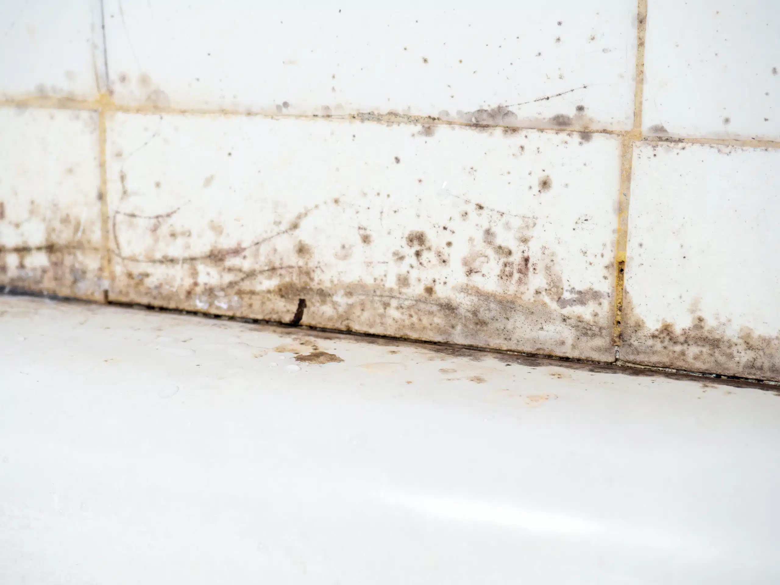 Mould and grime buildup along bathroom tile grout and bathtub edge.