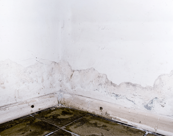 Damaged wall corner with moisture stains, peeling paint, and mold near the floor.