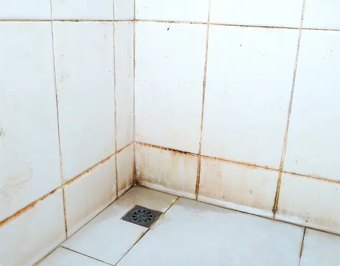 Close-up of a shower corner with stained grout, mildew buildup, and floor drain before cleaning or regrouting.