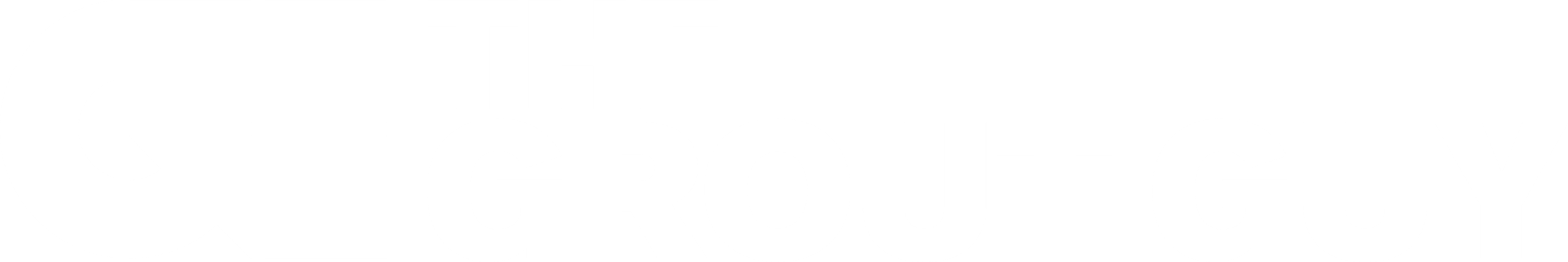 The Grout Guy